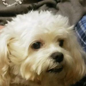 Meet your Posher, Amparo